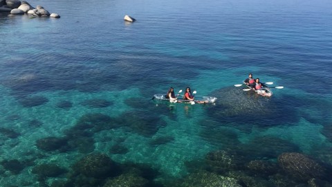 Two transparent kayaks with people paddling on clear blue water, rocks visible beneath, forested shore in background.